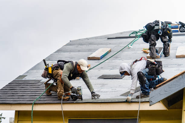 Professional Gutter Installation technician working in Clinton, TN